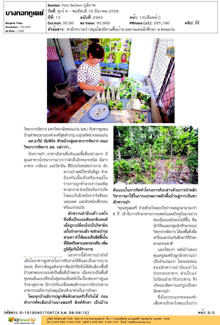 ชาผักหวานป่า-02