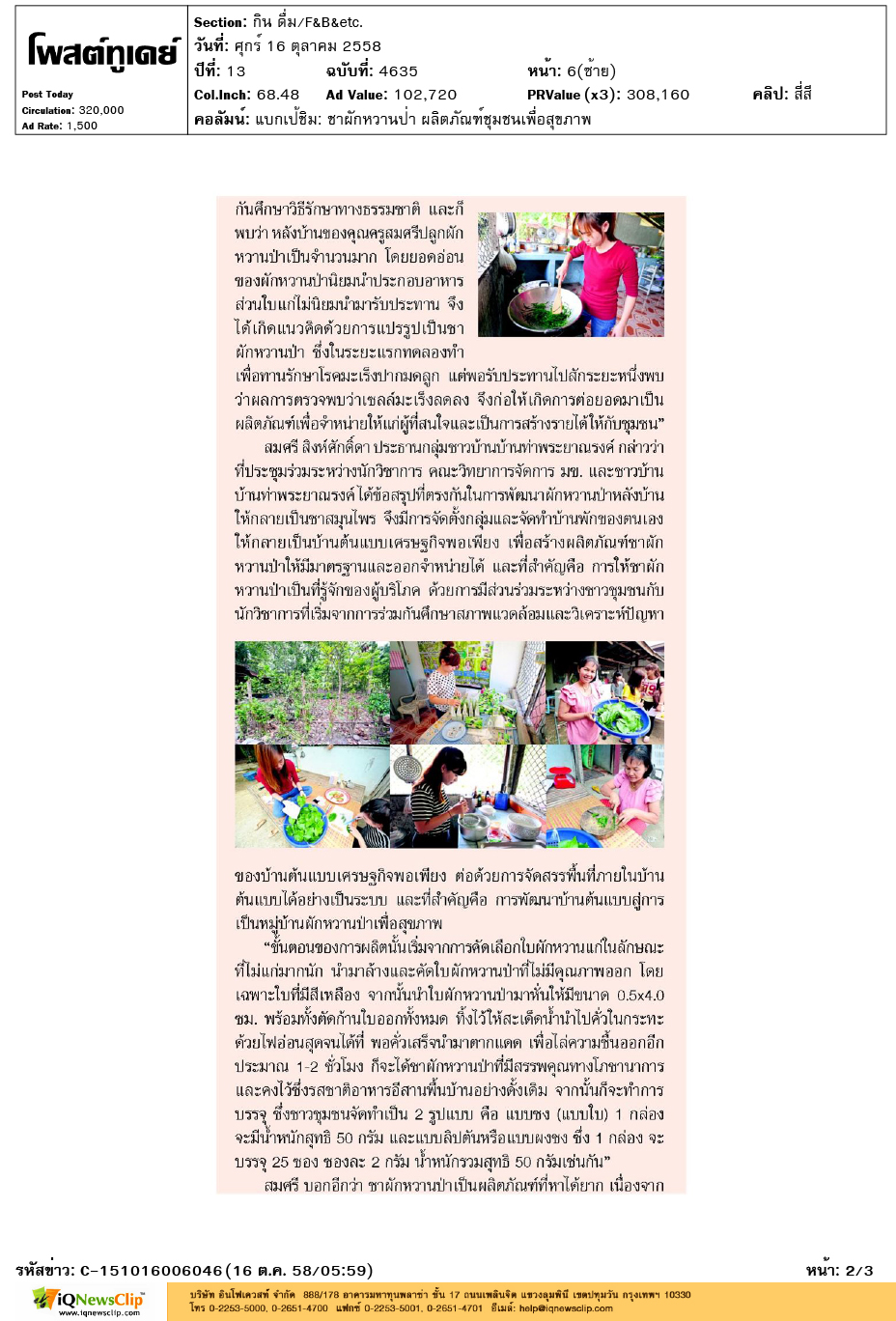 ชาผักหวานป่า-05